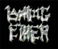 logo Lashing Ether